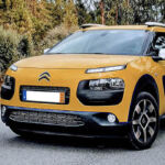 ©TRENDY Report | Cactus