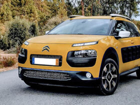 ©TRENDY Report | Cactus