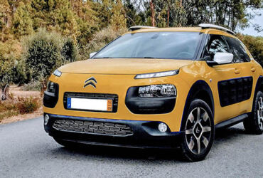 ©TRENDY Report | Cactus