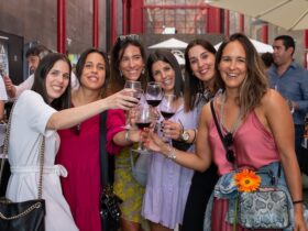 ©Vinhos a Descobrir