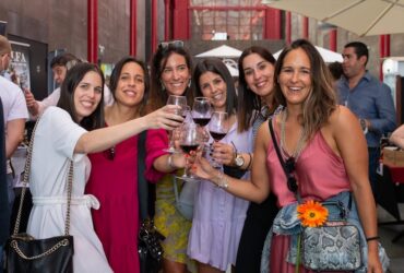 ©Vinhos a Descobrir