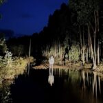 ©Teatro do Vão | Lago dos Cisnes