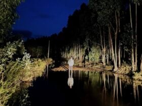 ©Teatro do Vão | Lago dos Cisnes