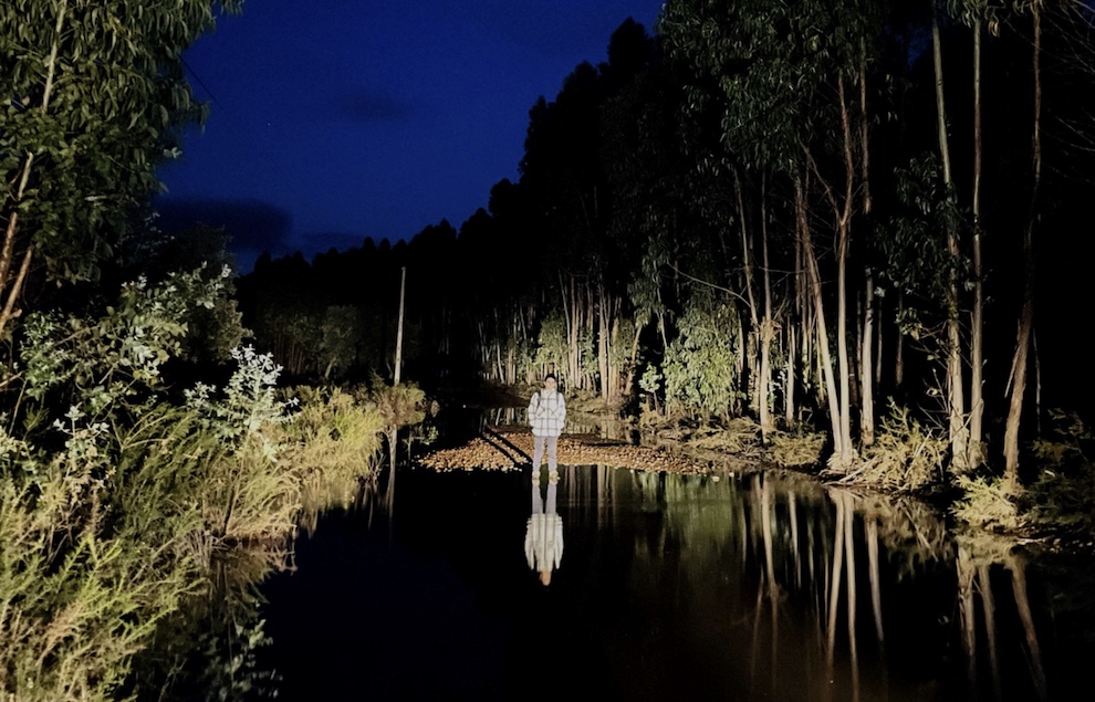 ©Teatro do Vão | Lago dos Cisnes