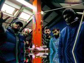 ©Macacos do Chinês