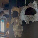 ©TRENDY Report | Forneria Menu