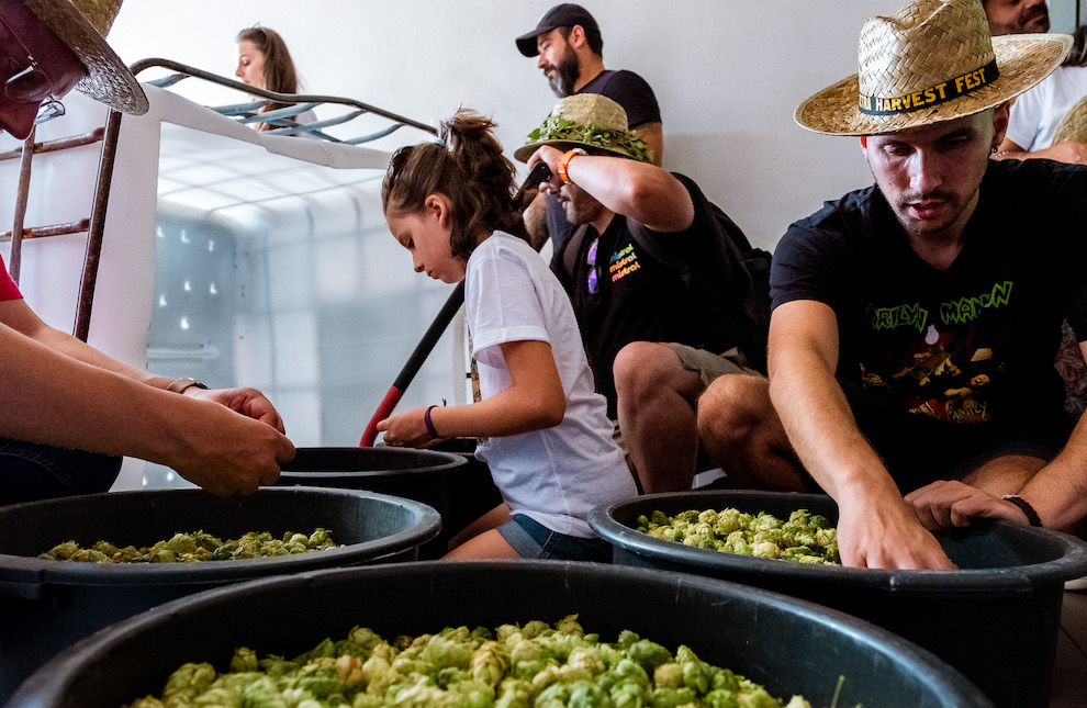 ©Foto Felicidade | Harvest Fest