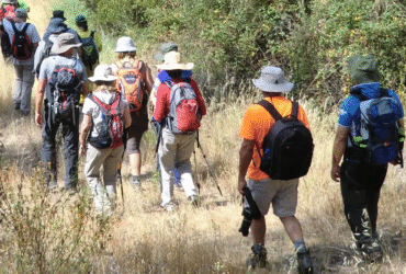 ยฉAlentejo Walking