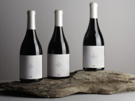 ©Alexandre Delmar | Quinta dos Loivos