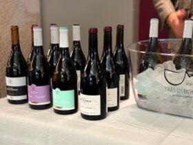 ©TRENDY Report | Vinhos Tras os Montes