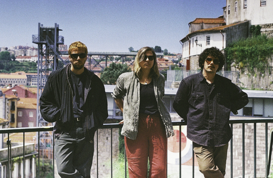 ©Valéria Martins | Sunflowers