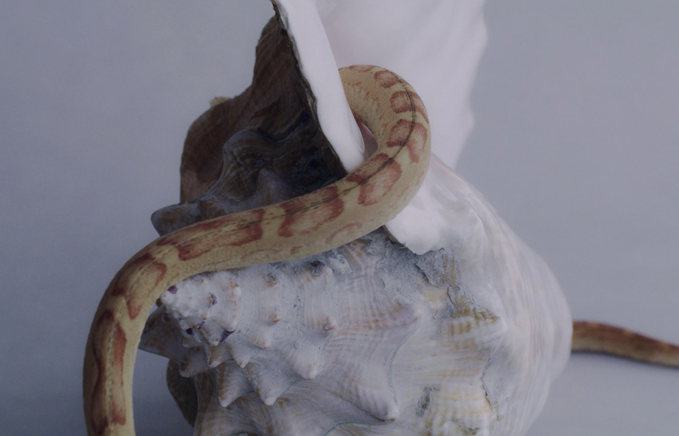 ©Katherinne Fiedler