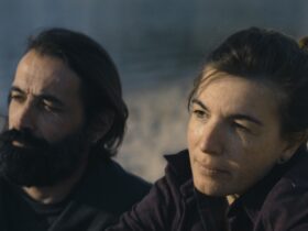 ©Agente A Norte | Terra Vil