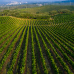 ©Valdo Armo | Serras