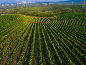 ©Valdo Armo | Serras