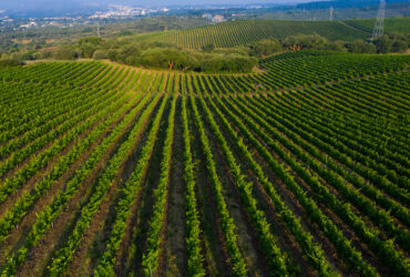 ©Valdo Armo | Serras