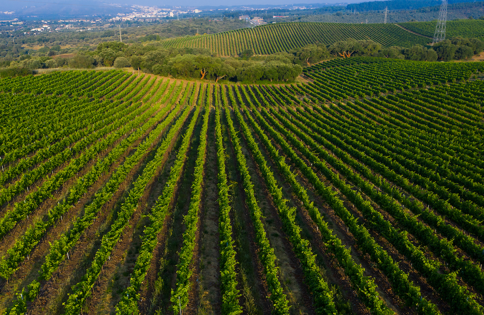 ©Valdo Armo | Serras