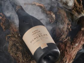 ©Casa de Santar | Oito Parcelas