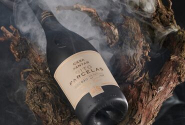 ©Casa de Santar | Oito Parcelas