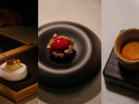 ©Henrique Sá Pessoa