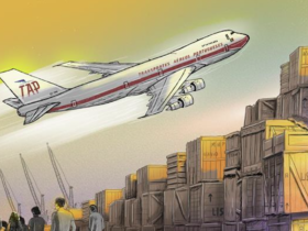 ©Rodrigo Machado / RR