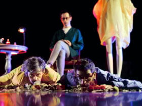 ©Tiago Cerveira | Birds Are Indie