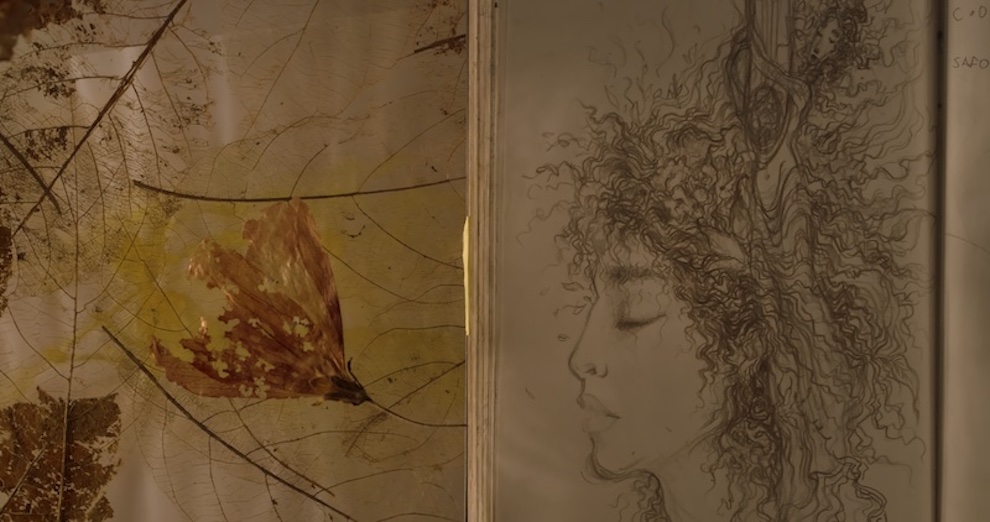 ©Rossana Urbes | Safo