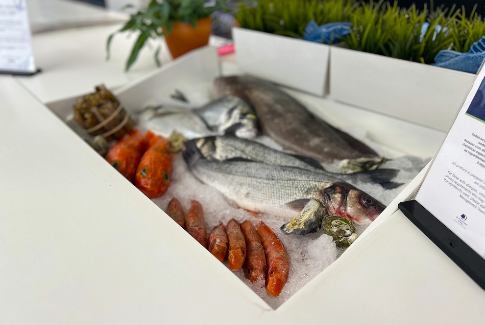 ©TRENDY Report | Saldanha Mar