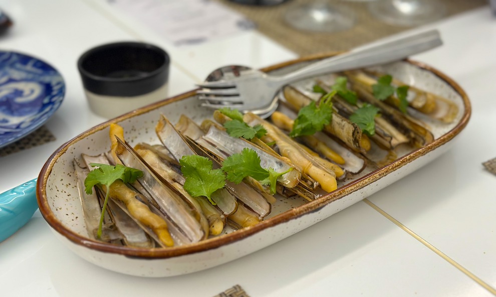 ©TRENDY Report | Saldanha Mar