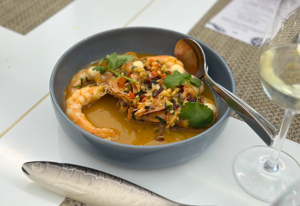 ©TRENDY Report | Saldanha Mar