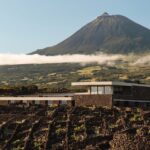 ©Azores Wine Company