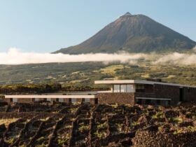 ©Azores Wine Company