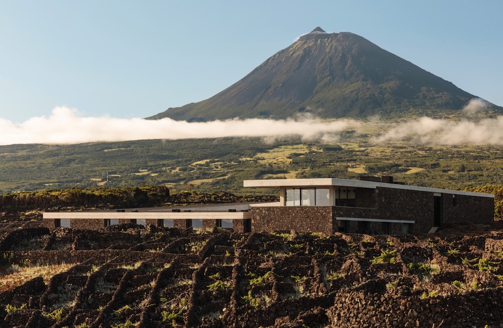 ©Azores Wine Company