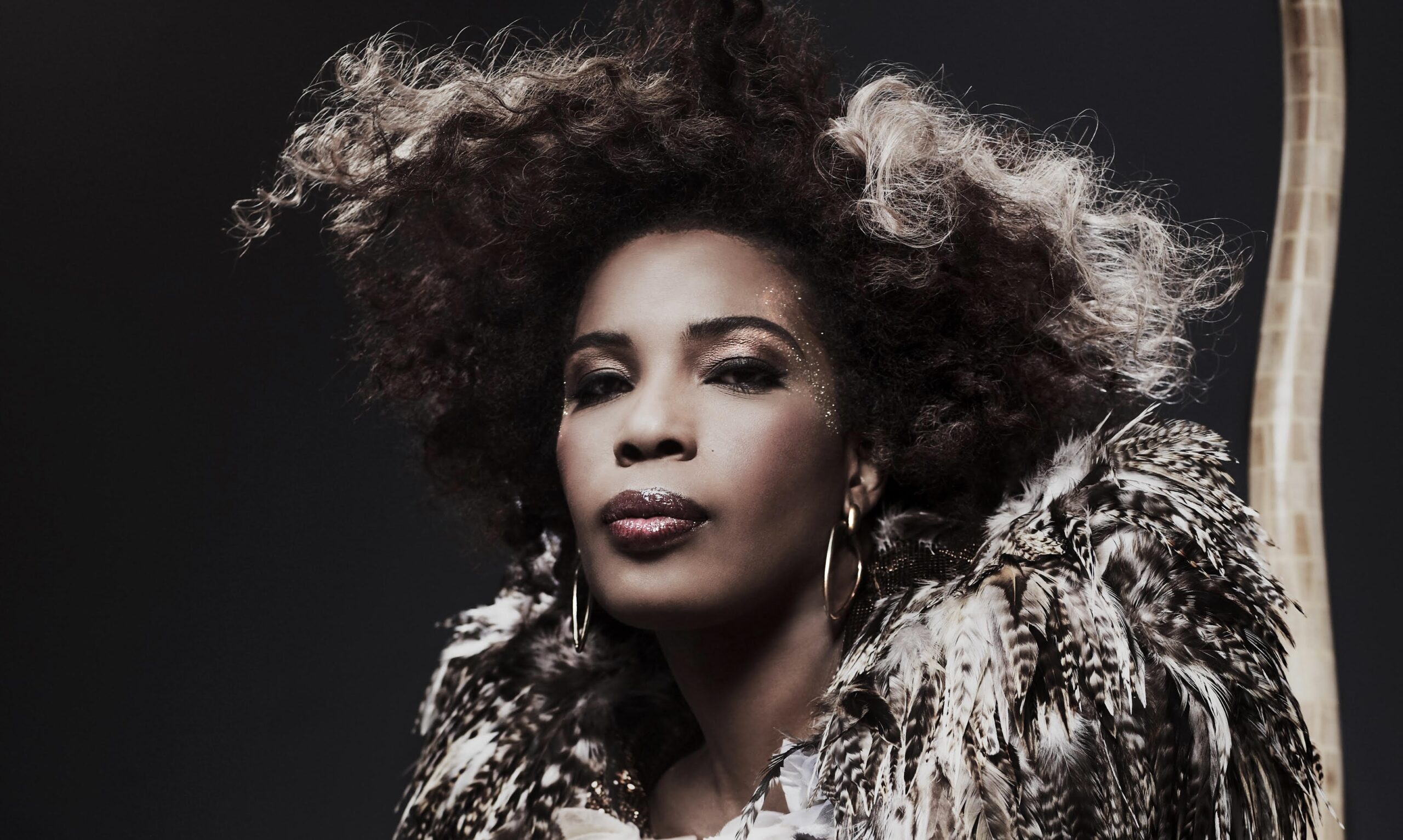 ©DR | Macy Gray