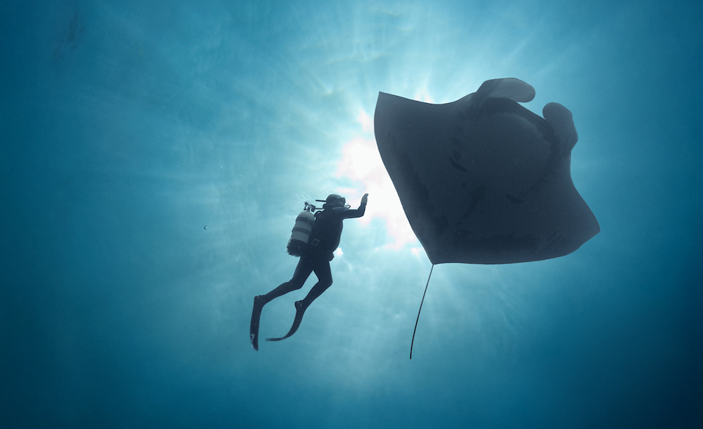 ©The Last Dive