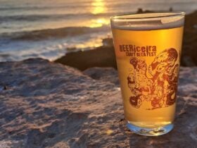 ©BEERiceira