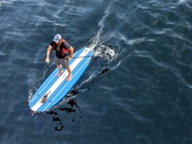 ©James Lewis | Paddle