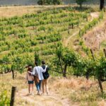 ©Douro Palace