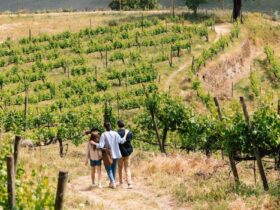©Douro Palace