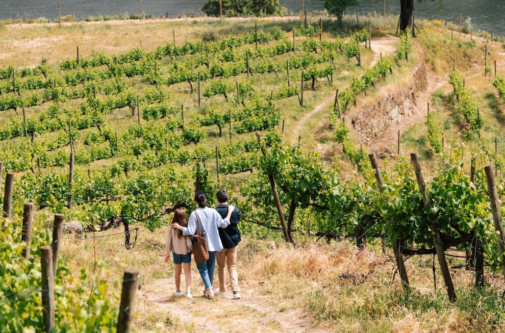©Douro Palace