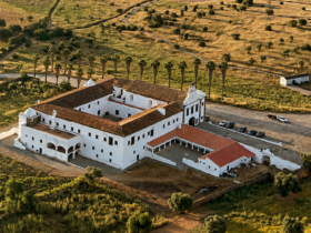 ©FlyDreams Alentejo | Orada