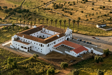 ©FlyDreams Alentejo | Orada